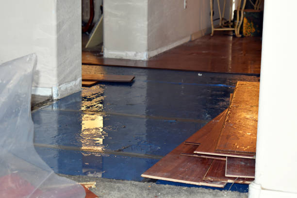 Professional Sewage Cleanup technician working in Newport, RI
